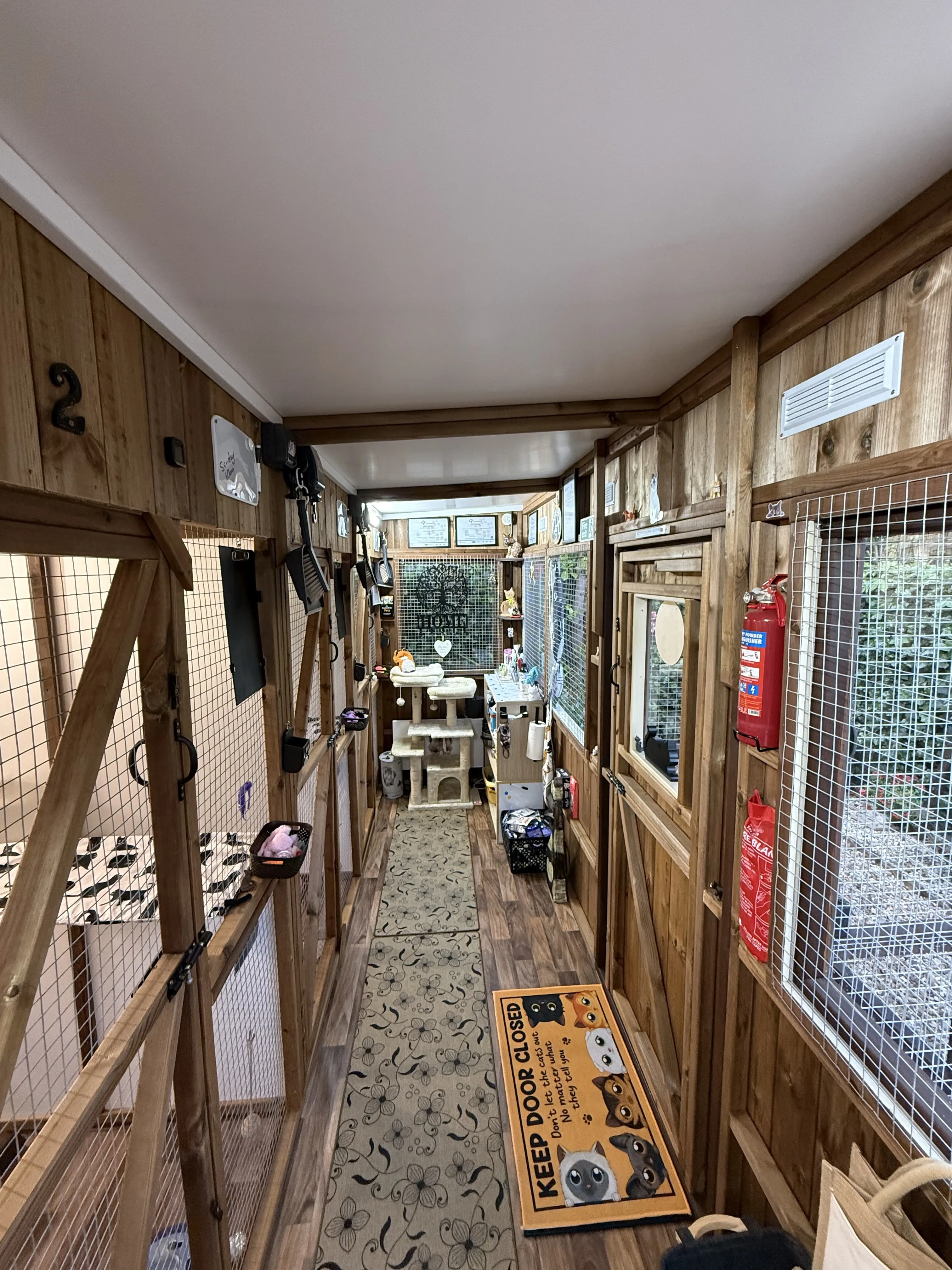 The cedar-timber corridor inside the cattery