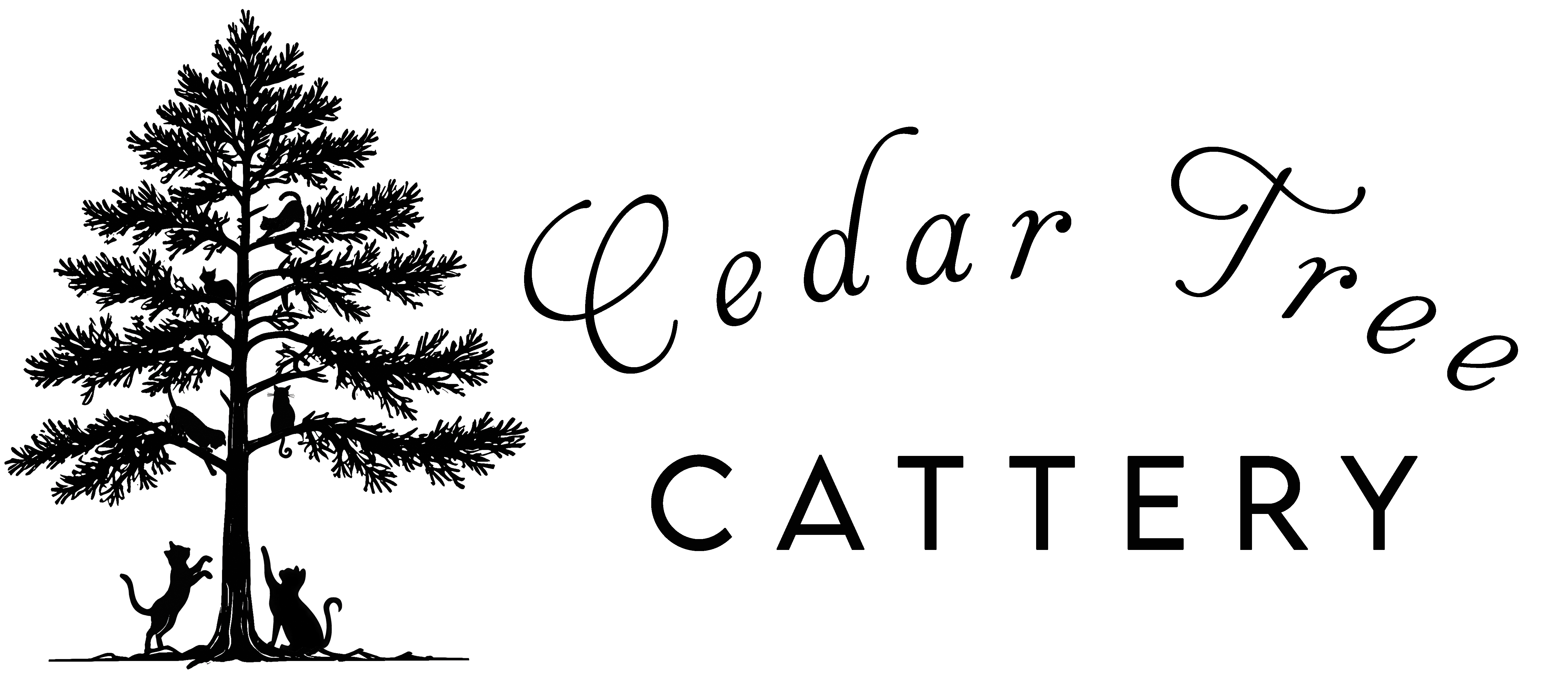 Cedar Tree Cattery